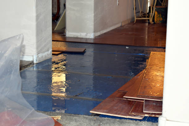 Professional Flood Damage Repair technician working in Bastrop, TX